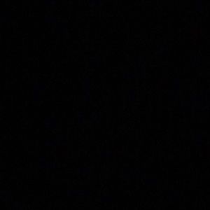 Meet your Posher, Reese